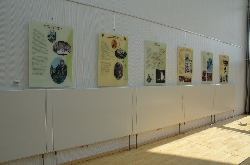 Bild 1: Ausstellung im Kreishaus: Ostern bei den Sorben, Quelle: Landkreis Spree-Neie
