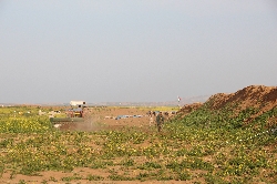 Bild 4: Foto - Ein Bauer bestellt sein Feld im Grenzgebiet zum IS. 