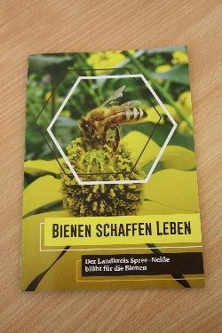Bild 1: Bienenbroschre, Quelle: Landkreis LK SPN