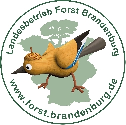 Bild 4: LOGO Landesbetrieb Forst Bbg, Quelle: Waldschule
