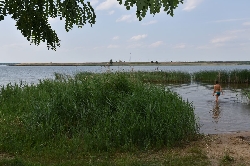 Bild 1: Blick auf den Grbendorfer See, Quelle: Landkreis Spree-Neie/Wokrejs Sprjewja-Nysa